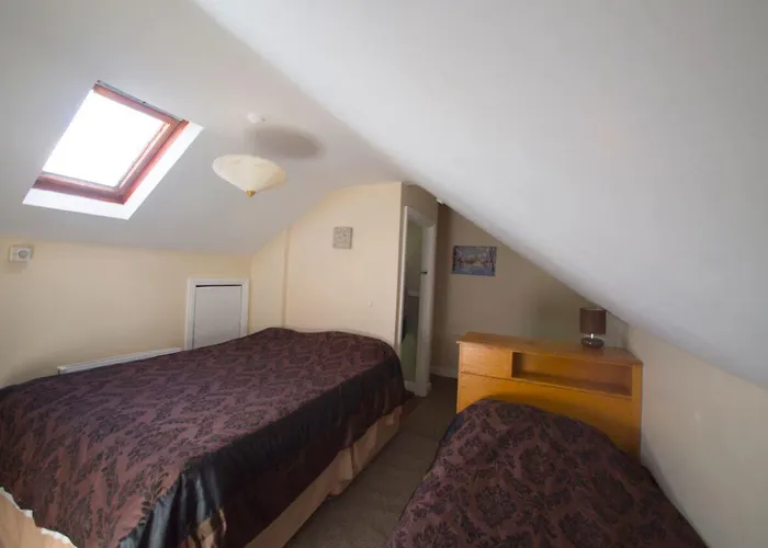 Botanic Panzió Dublin